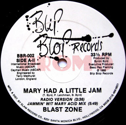 Blast Zone : Mary Had A Little Jam (12", Promo)