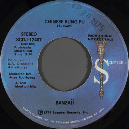 Banzaii : Chinese Kung Fu (7", Promo)