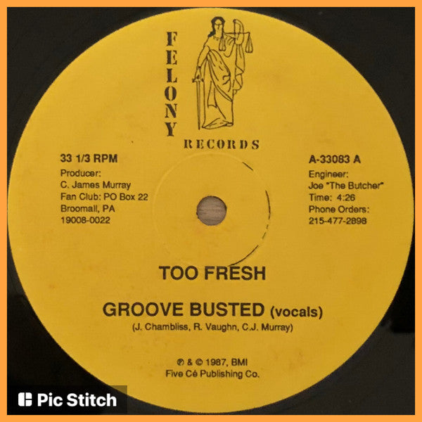 Too Fresh : Groove Busted (12")