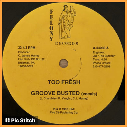 Too Fresh : Groove Busted (12")
