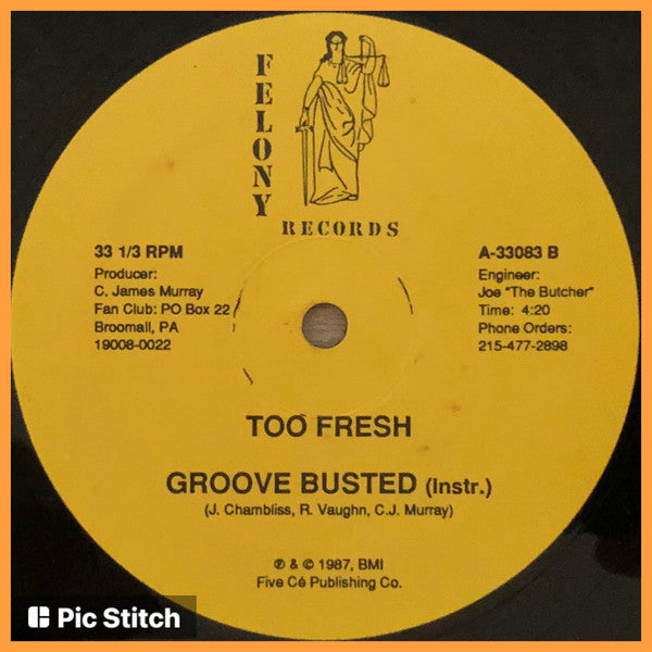 Too Fresh : Groove Busted (12")