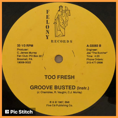 Too Fresh : Groove Busted (12")