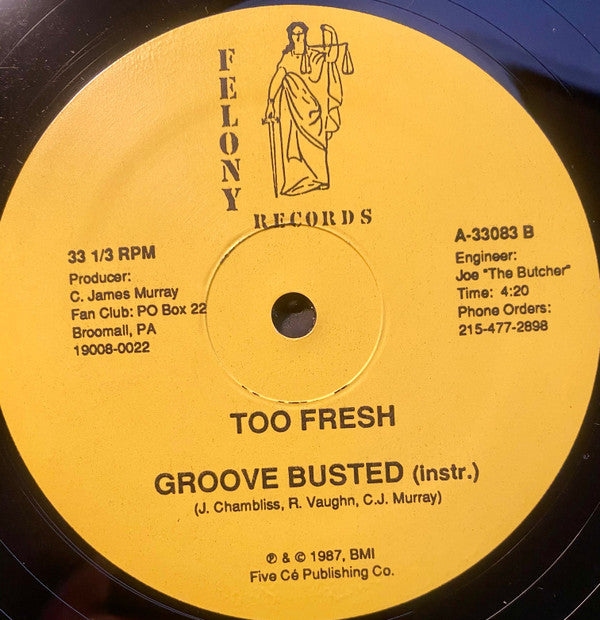 Too Fresh : Groove Busted (12")