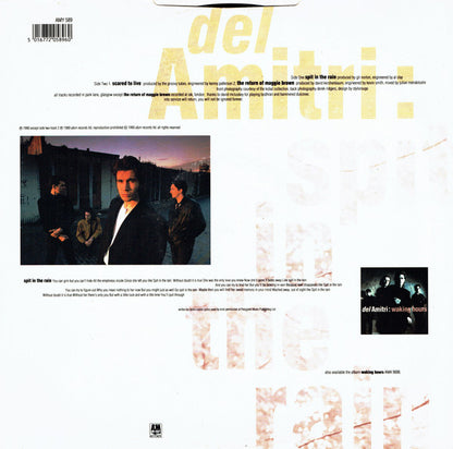 Del Amitri : Spit In The Rain (12", Single)