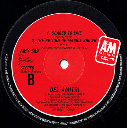 Del Amitri : Spit In The Rain (12", Single)