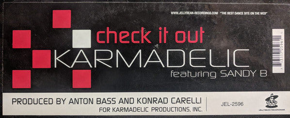 Karmadelic Featuring Sandy B : Check It Out (12")