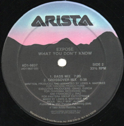Exposé : What You Don't Know (12")