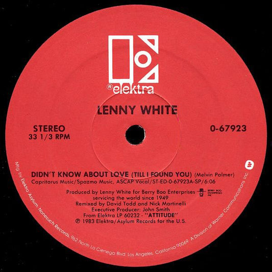 Lenny White : Didn't Know About Love (Till I Found You) (12")