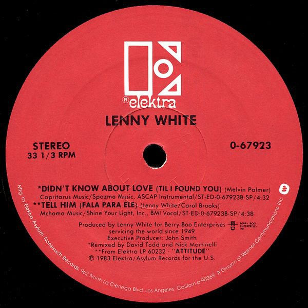 Lenny White : Didn't Know About Love (Till I Found You) (12")
