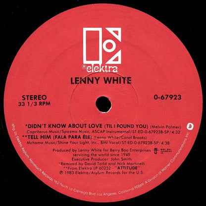 Lenny White : Didn't Know About Love (Till I Found You) (12")