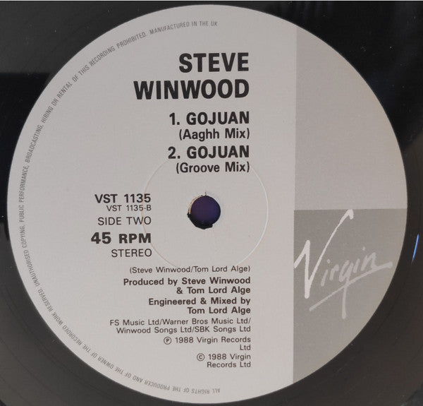 Steve Winwood : Holding On (12", Single)