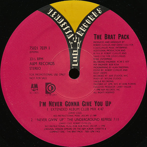 The Brat Pack : I'm Never Gonna Give You Up (12", Promo)