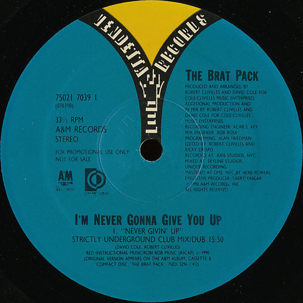 The Brat Pack : I'm Never Gonna Give You Up (12", Promo)