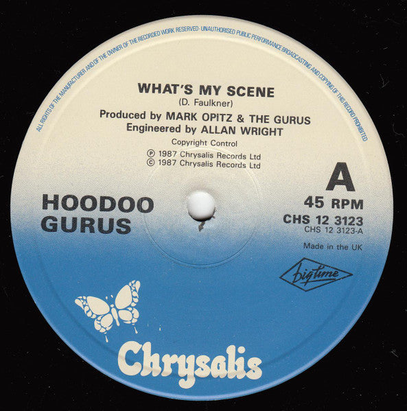 Hoodoo Gurus : What's My Scene (12", Single)