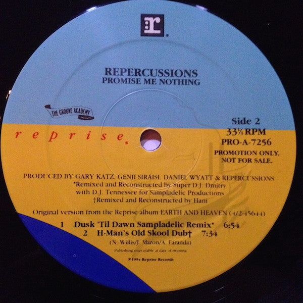 Repercussions : Promise Me Nothing (12", Promo)
