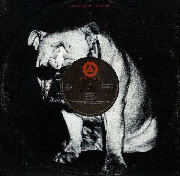 E-Type : This Is The Way (12")