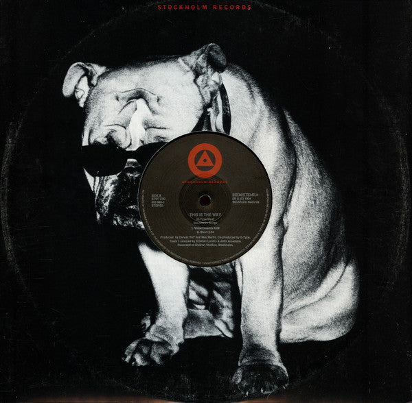 E-Type : This Is The Way (12")