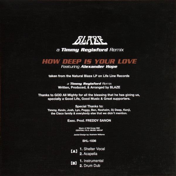 Blaze : How Deep Is Your Love (A Timmy Regisford Remix) (12")