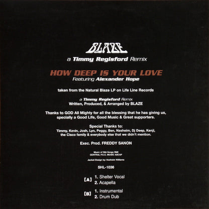 Blaze : How Deep Is Your Love (A Timmy Regisford Remix) (12")