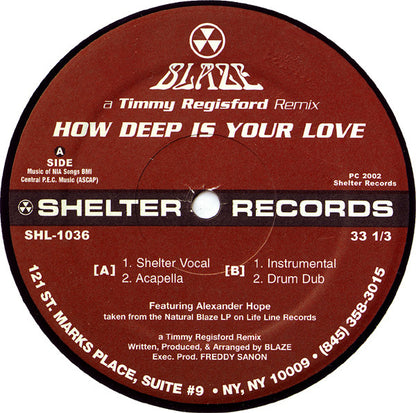 Blaze : How Deep Is Your Love (A Timmy Regisford Remix) (12")