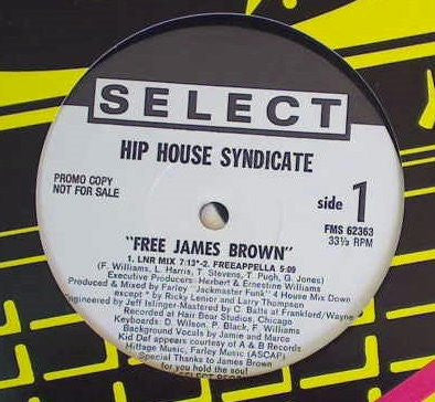The Hip House Syndicate : Free James Brown (12", Promo)