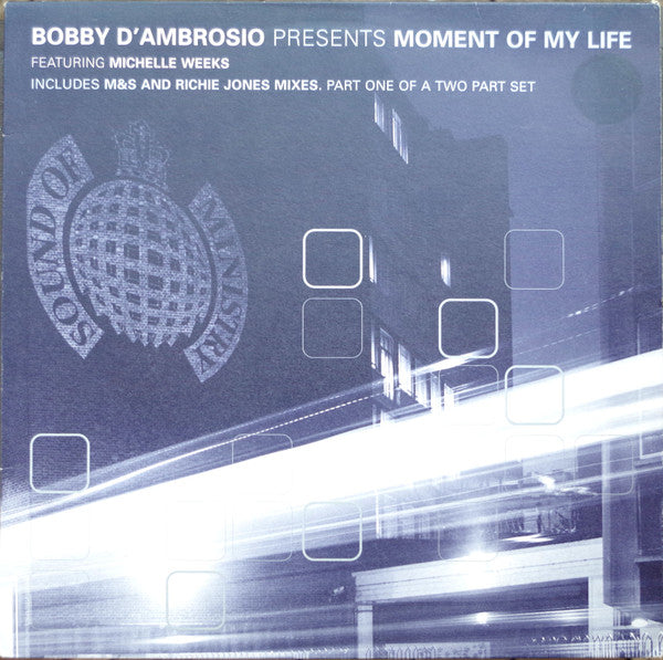 Bobby D'Ambrosio Featuring Michelle Weeks : Moment Of My Life (12", Single, Par)