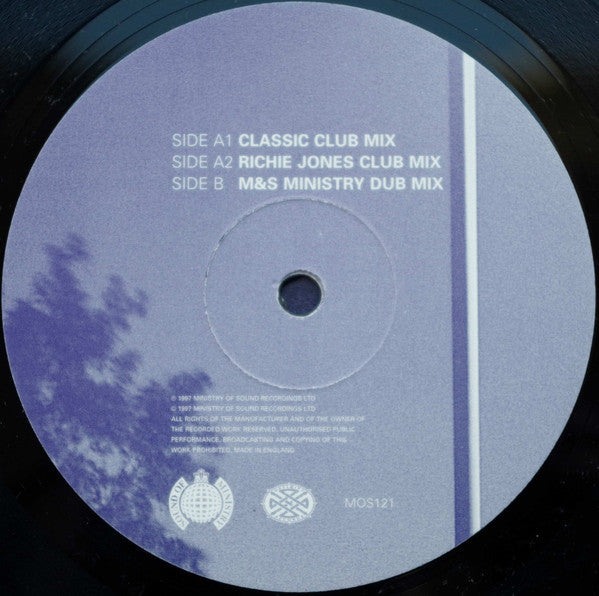 Bobby D'Ambrosio Featuring Michelle Weeks : Moment Of My Life (12", Single, Par)