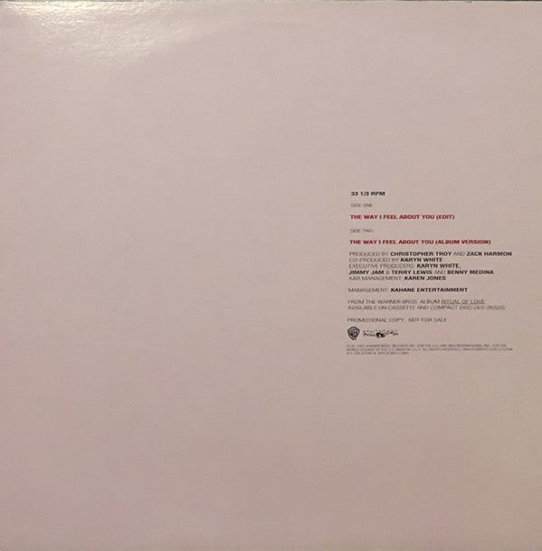 Karyn White : The Way I Feel About You (12", Promo)