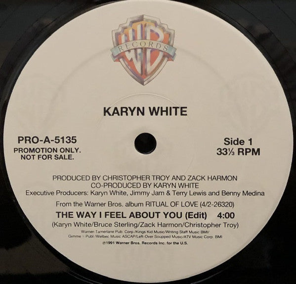 Karyn White : The Way I Feel About You (12", Promo)
