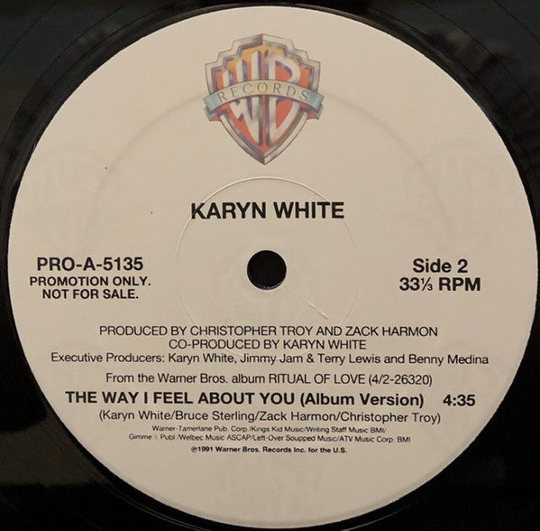 Karyn White : The Way I Feel About You (12", Promo)