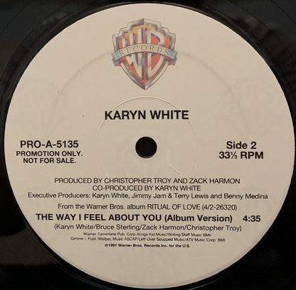 Karyn White : The Way I Feel About You (12", Promo)