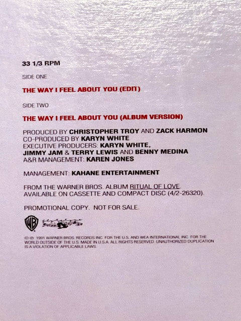 Karyn White : The Way I Feel About You (12", Promo)