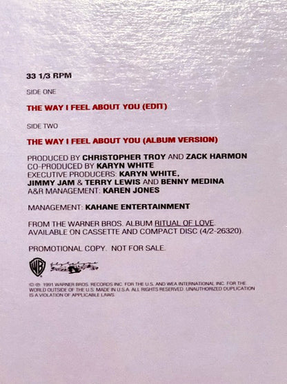 Karyn White : The Way I Feel About You (12", Promo)