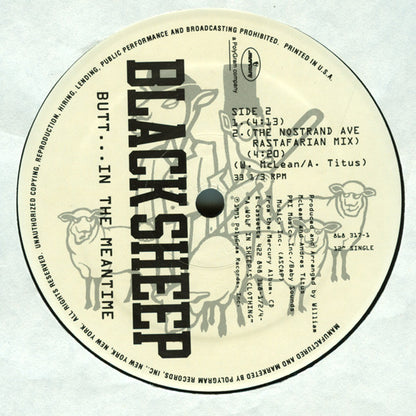 Black Sheep : Flavor Of The Month (12", Single)