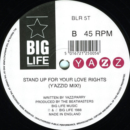 Yazz : Stand Up For Your Love Rights (12", Single)