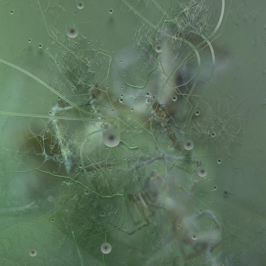 Priori (2) : Your Own Power (Remixes) (12")