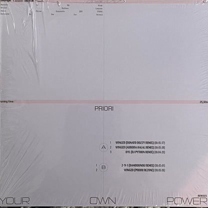 Priori (2) : Your Own Power (Remixes) (12")