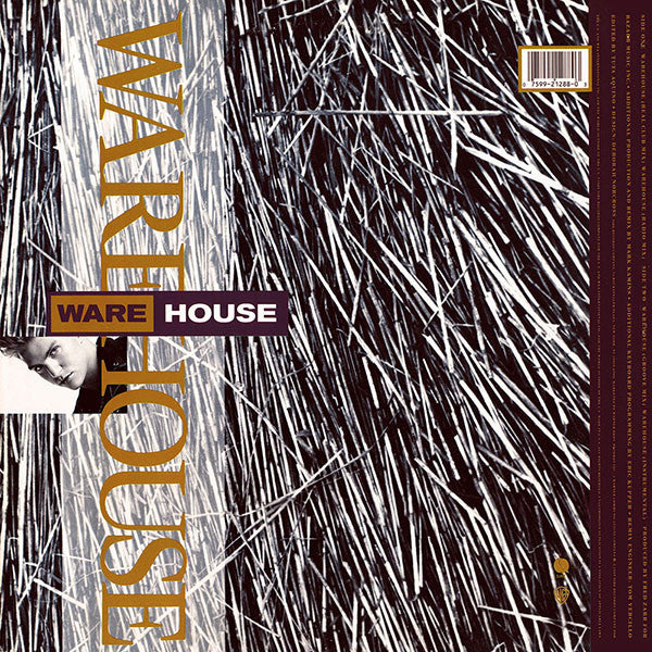 Michael Davidson : Warehouse (12", Maxi)