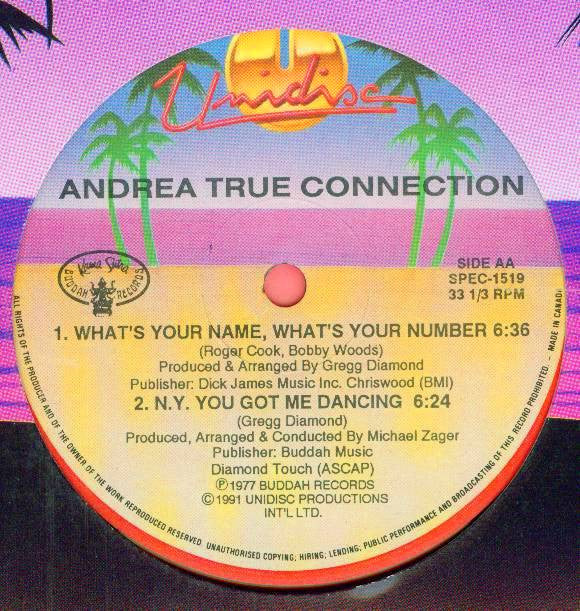 Andrea True Connection : More, More, More / What's Your Name, What's Your Number / N.Y. You Got Me Dancing (12", Bea)