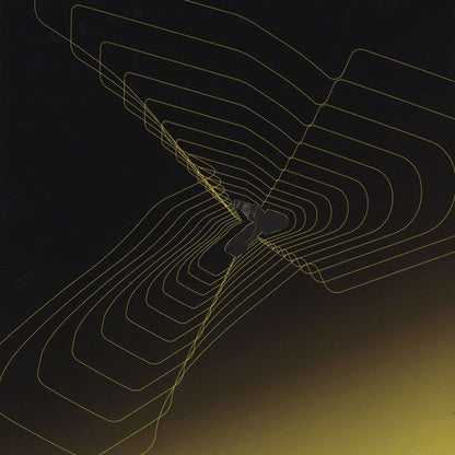 Paradox : Perhaps The Future / 8 Track (12")