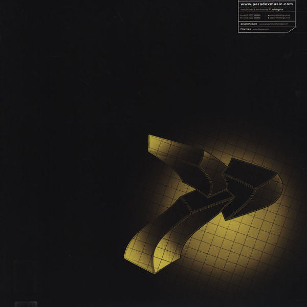 Paradox : Perhaps The Future / 8 Track (12")