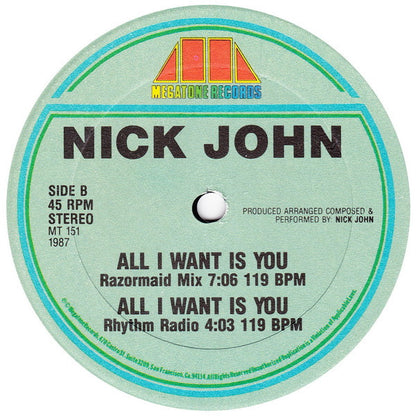 Nick John : All I Want Is You (12")