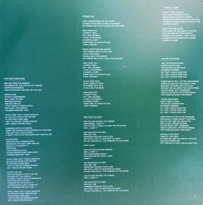 Nation Of Language : A Way Forward (LP, Album, Yel)