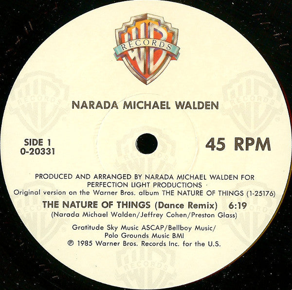 Narada Michael Walden : The Nature Of Things (12")