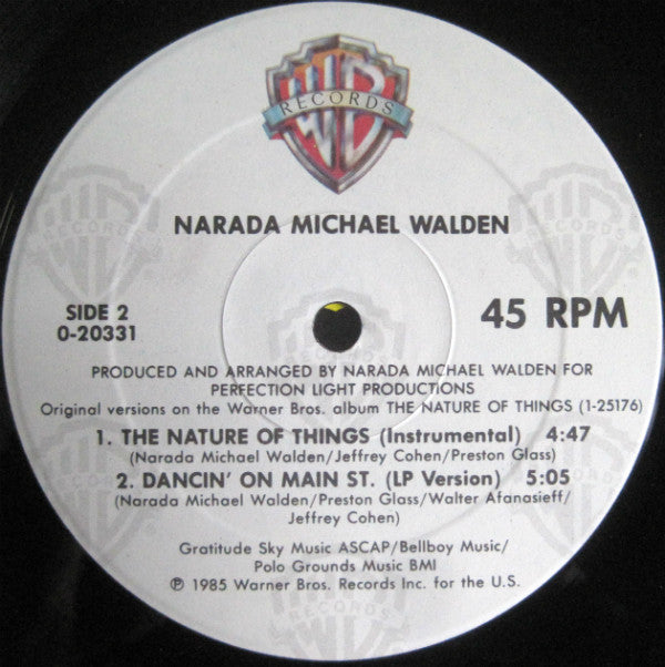 Narada Michael Walden : The Nature Of Things (12")