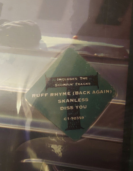 King Tee : At Your Own Risk (LP, Album)