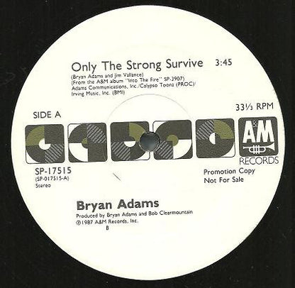 Bryan Adams : Only The Strong Survive (12", Promo)