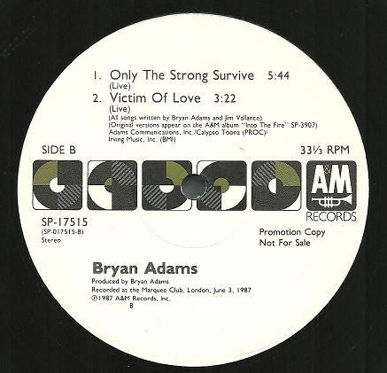 Bryan Adams : Only The Strong Survive (12", Promo)