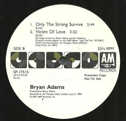 Bryan Adams : Only The Strong Survive (12", Promo)
