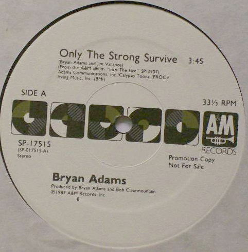 Bryan Adams : Only The Strong Survive (12", Promo)
